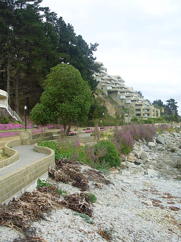 Foto de Algarrobo, Chile