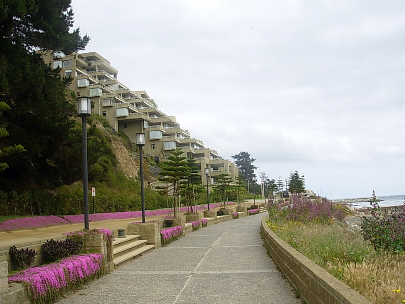 Foto de Algarrobo, Chile