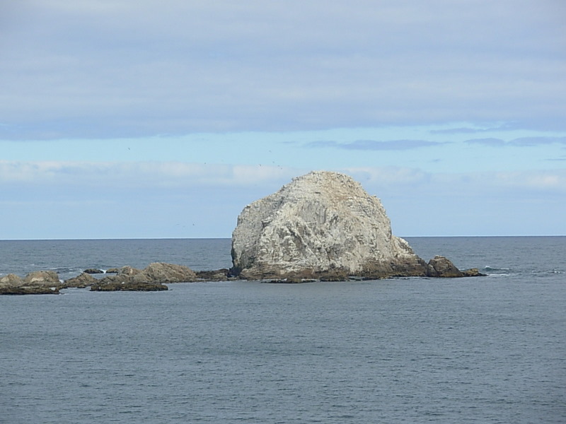 Foto de Algarrobo, Chile