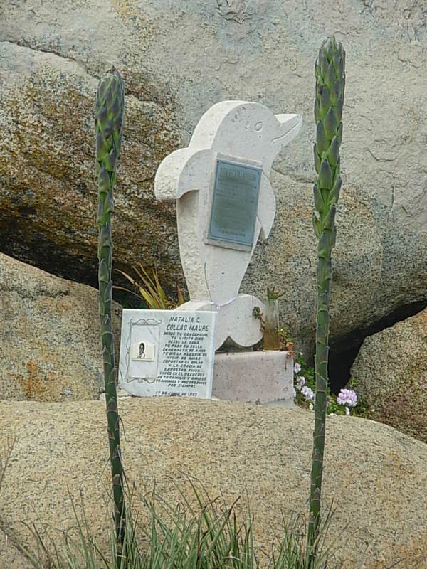 Foto de Algarrobo, Chile