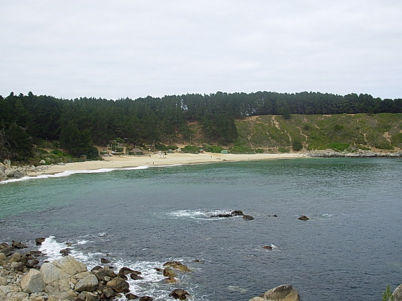 Foto de Algarrobo, Chile