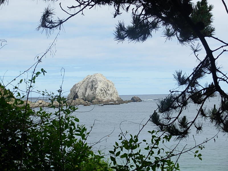 Foto de Algarrobo, Chile