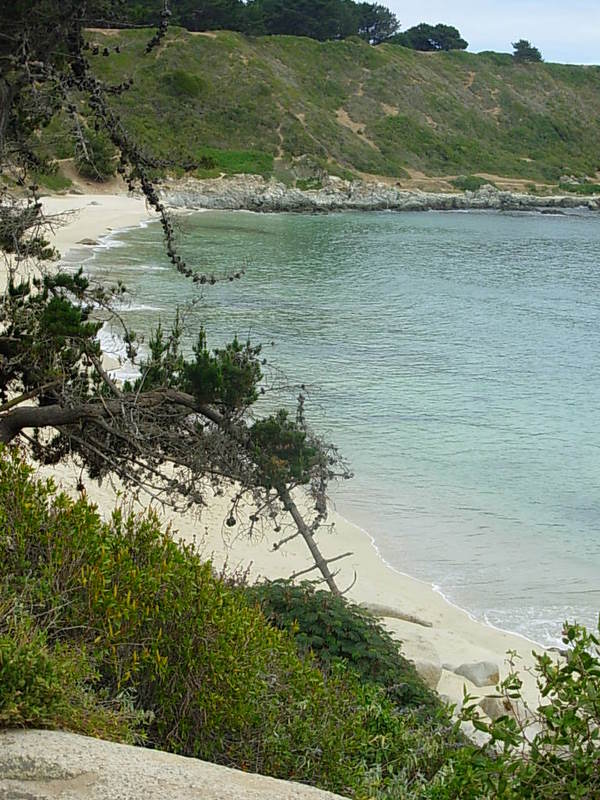 Foto de Algarrobo, Chile