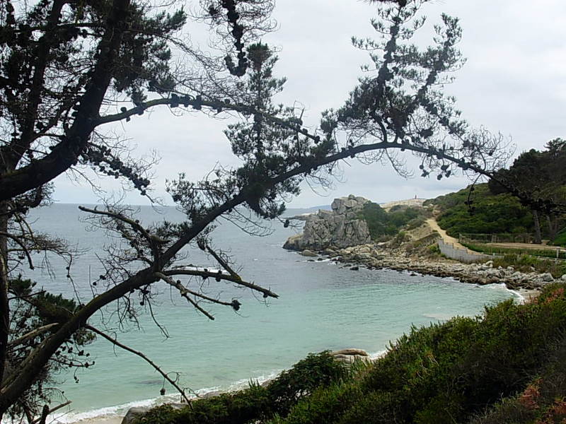 Foto de Algarrobo, Chile