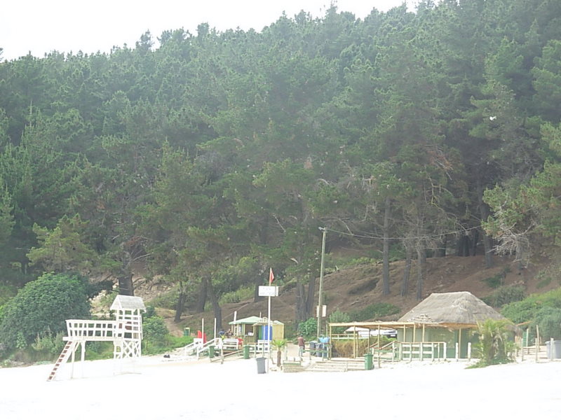 Foto de Algarrobo, Chile