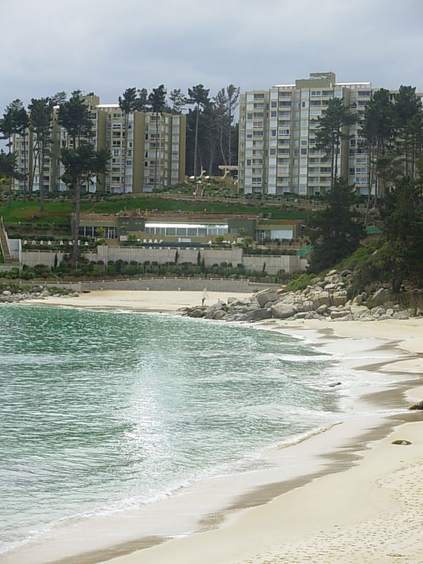 Foto de Algarrobo, Chile