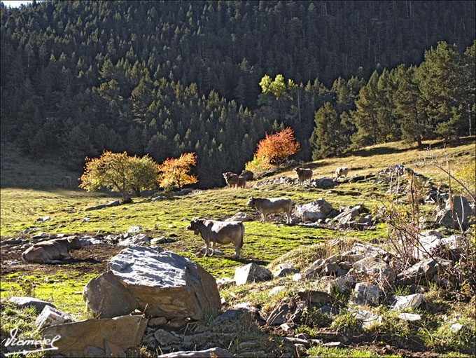 Foto de Montgarri (Lleida), España