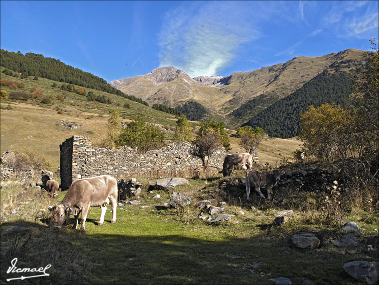 Foto de Montgarri (Lleida), España