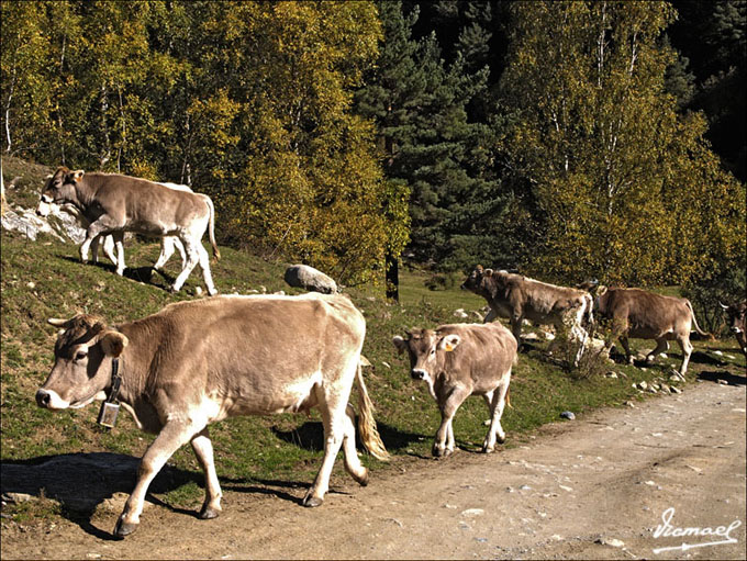 Foto de Montgarri (Lleida), España
