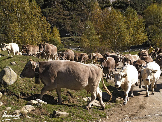 Foto de Montgarri (Lleida), España