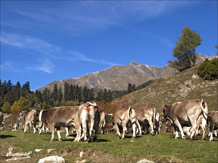 Foto de Montgarri (Lleida), España