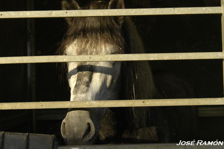 Foto de Trebujena (Cádiz), España