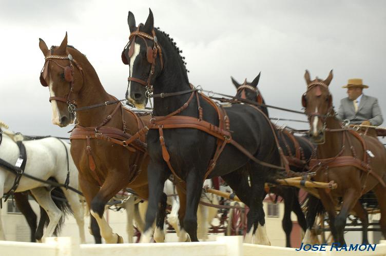 Foto de Trebujena (Cádiz), España