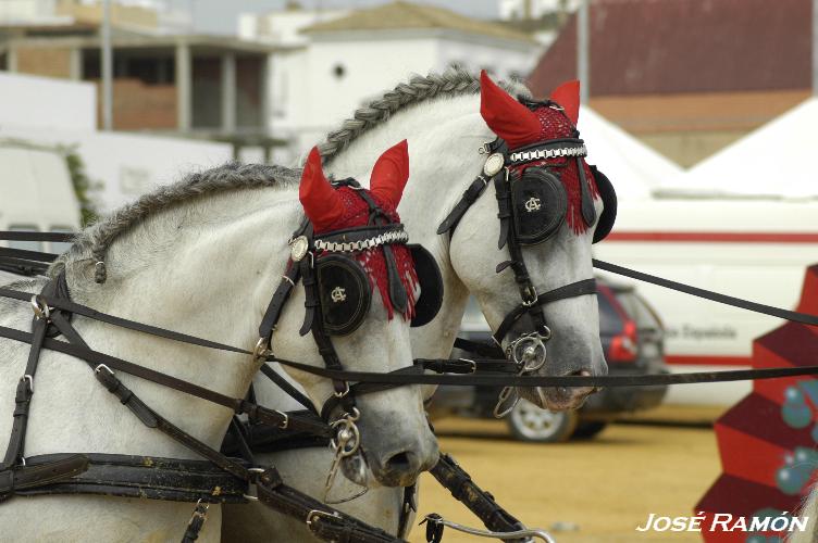 Foto de Trebujena (Cádiz), España