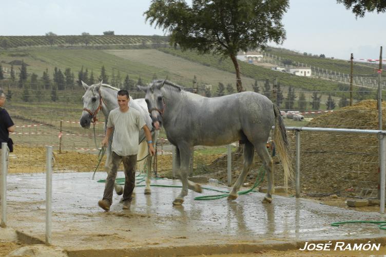 Foto de Trebujena (Cádiz), España