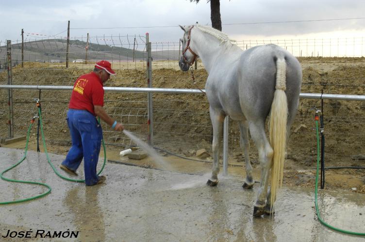 Foto de Trebujena (Cádiz), España