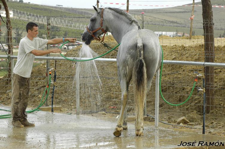 Foto de Trebujena (Cádiz), España