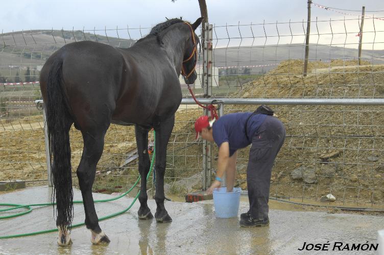 Foto de Trebujena (Cádiz), España