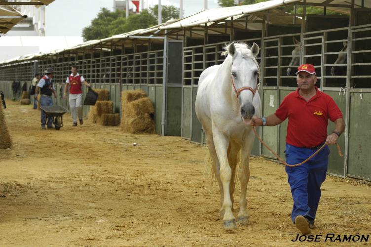 Foto de Trebujena (Cádiz), España