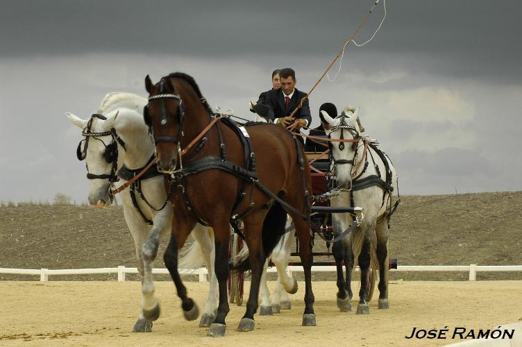Foto de Trebujena (Cádiz), España