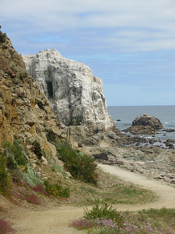 Foto de Algarrobo, Chile