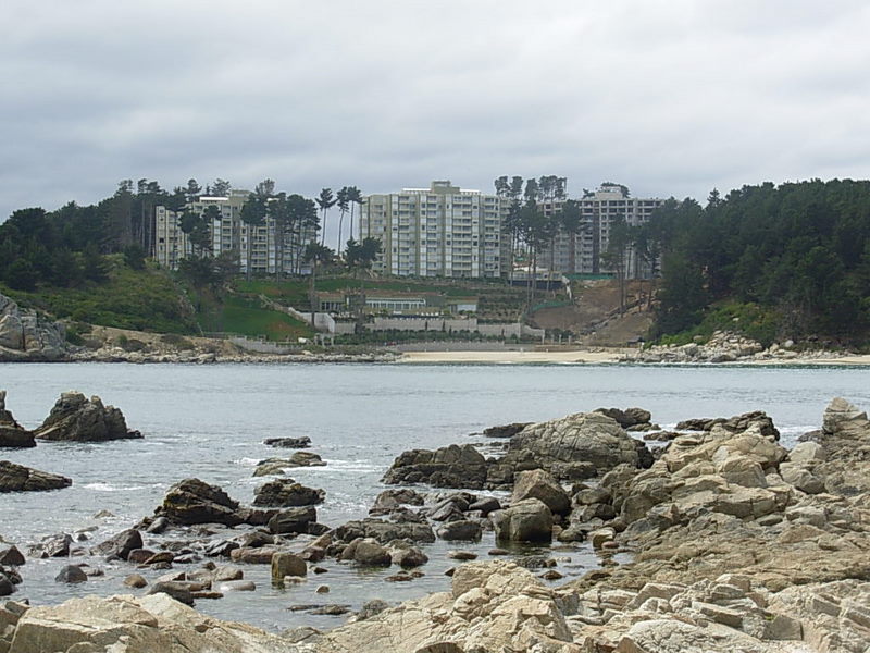 Foto de Algarrobo, Chile