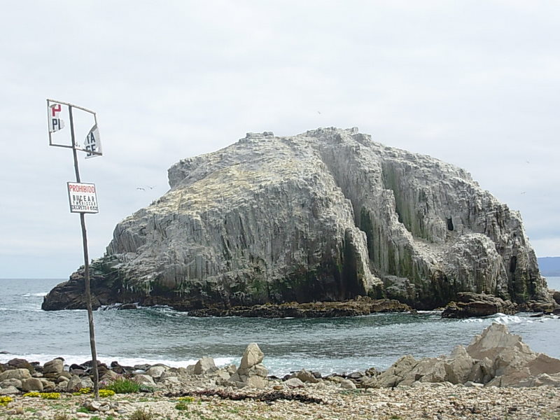 Foto de Algarrobo, Chile