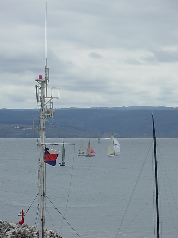 Foto de Algarrobo, Chile