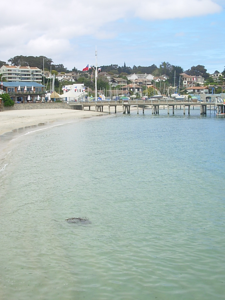 Foto de Algarrobo, Chile