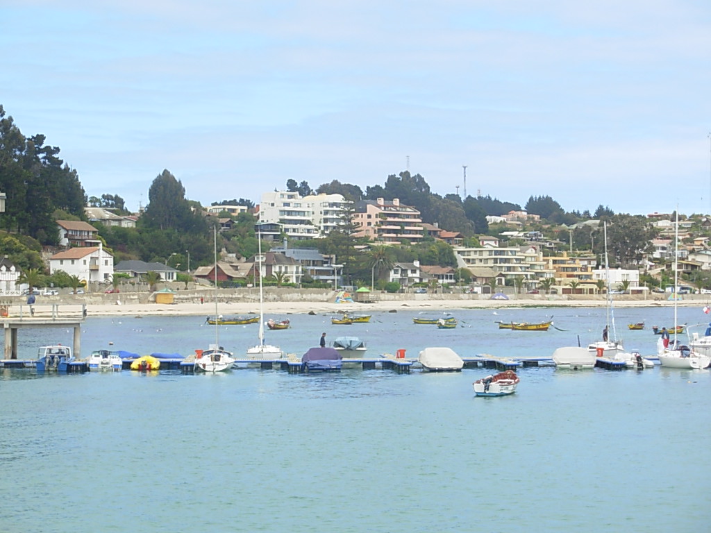 Foto de Algarrobo, Chile