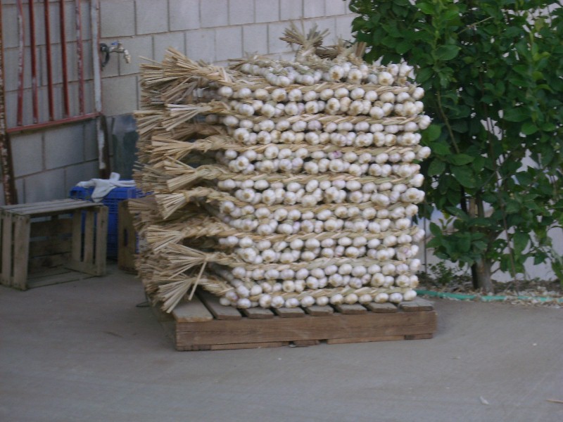 Foto de Bardallur (Zaragoza), España