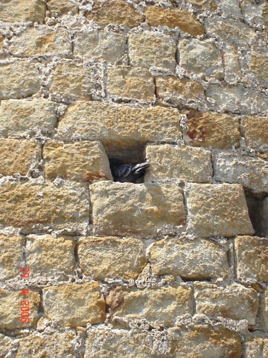 Foto de Costa Brava (Girona), España