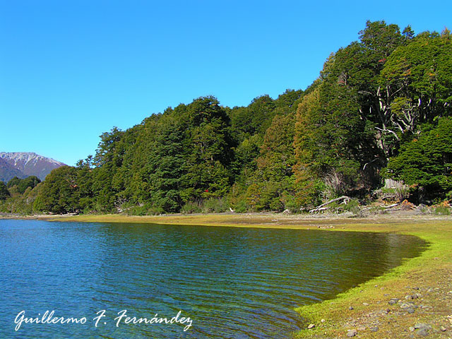 Foto de Neuquén - Patagonia Argentina, Argentina