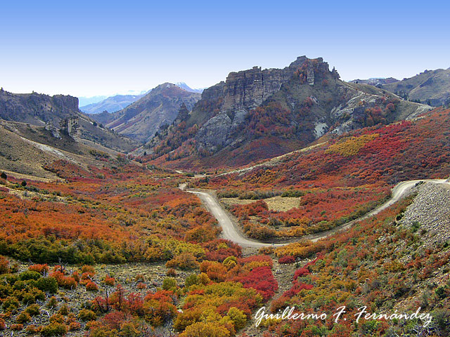 Foto de Neuquén - Patagonia Argentina, Argentina