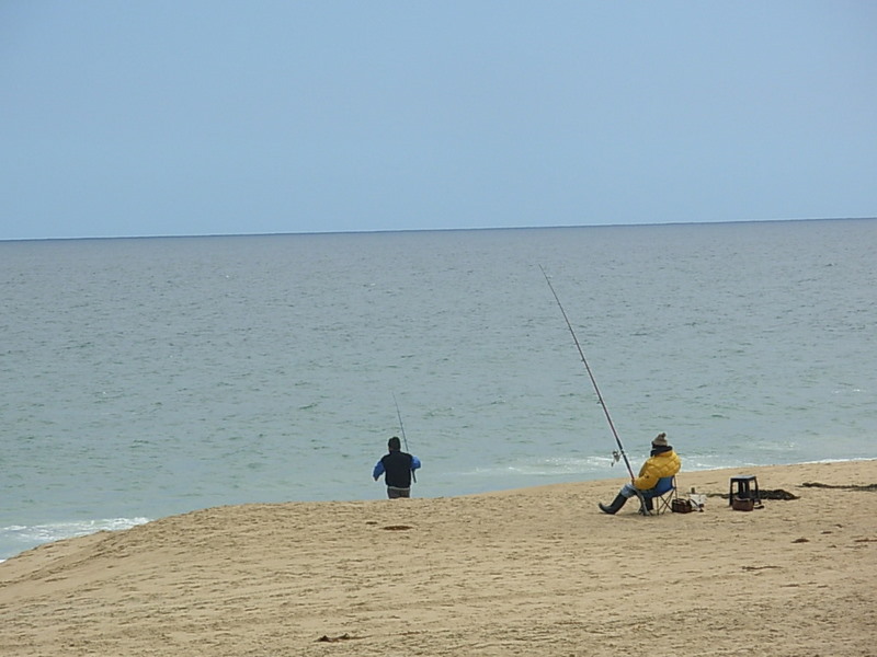 Foto de Algarrobo, Chile