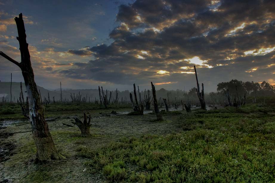 Foto de San Vicente de la Barquera (Cantabria), España