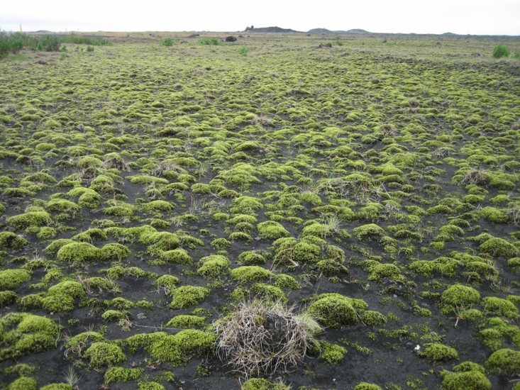 Foto de Islandia, Islandia