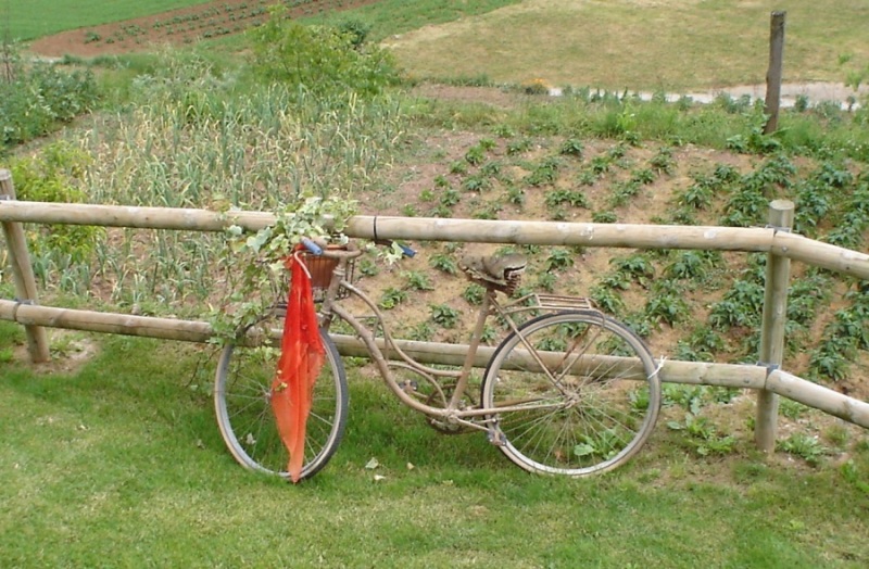 Foto de Santa Pau (Girona), España