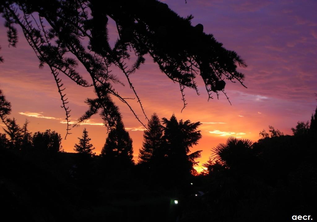 Foto de Pozuelo de Alarcón (Madrid), España