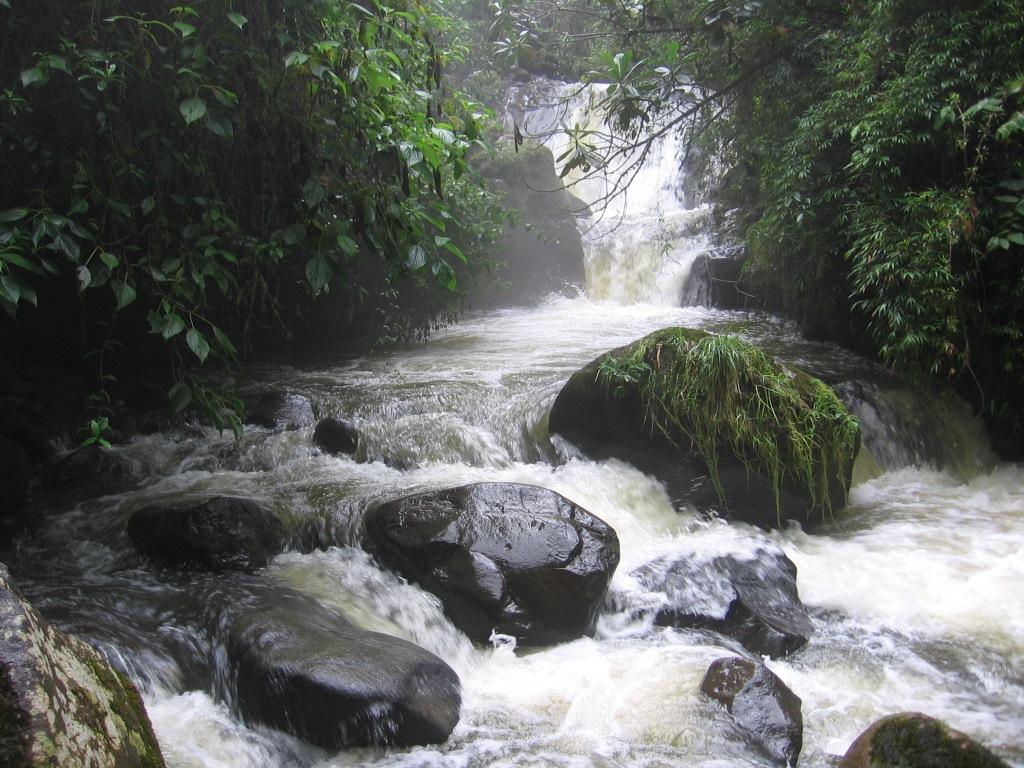 Foto de Santa Rosa de Cabal, Colombia