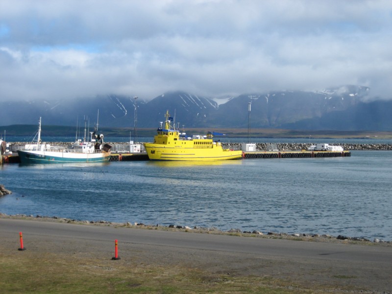 Foto de Dalvík, Islandia