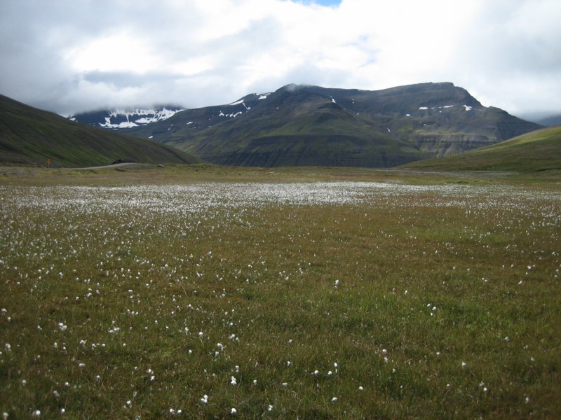 Foto de Islandia, Islandia