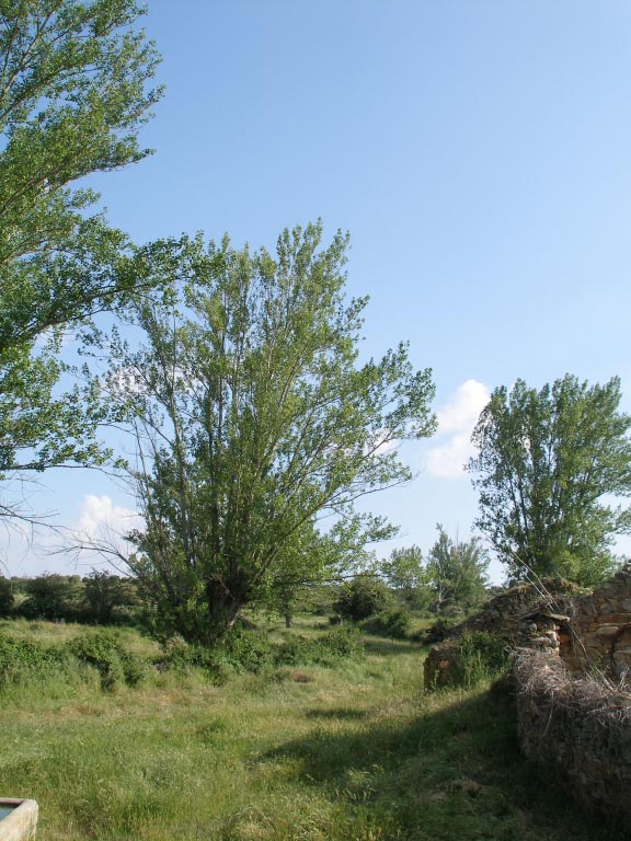 Foto de Curillas (León), España