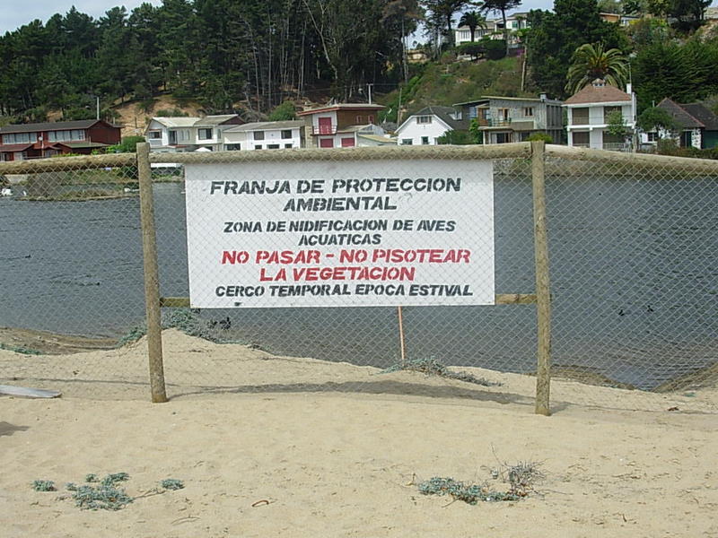 Foto de Algarrobo, Chile