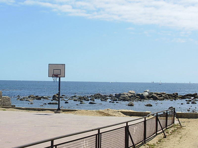 Foto de Algarrobo, Chile
