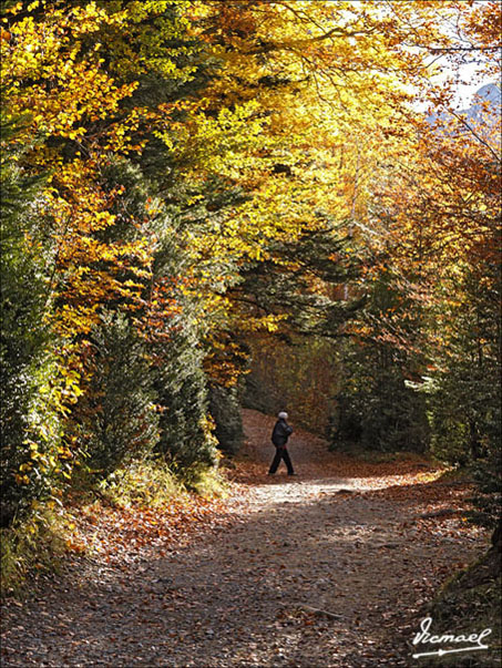 Foto de Torla (Huesca), España