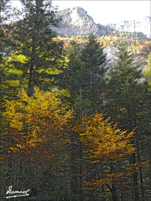 Foto de Torla (Huesca), España