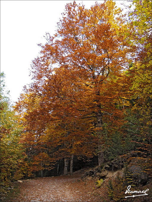 Foto de Torla (Huesca), España