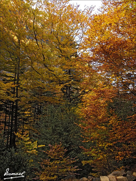 Foto de Torla (Huesca), España
