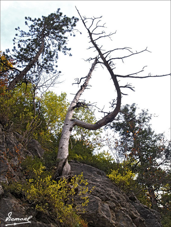Foto de Torla (Huesca), España